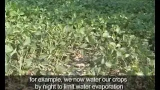 Diego Redini, Climate Witness, Italy