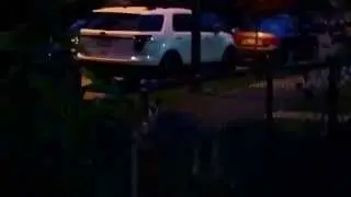 Retrieving my cat using dog whistle