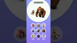 Supernatural Creature Hybrids  Nature's Wonders #gameplay #games #kids
