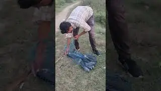 #Katla_fish#rahu##fishing#fish#lover#fishing#fish#fishing#hunting#fishing#birds#fishing#🎣🐟