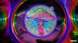 Stanley shanti and the chillum wallahs - Placid