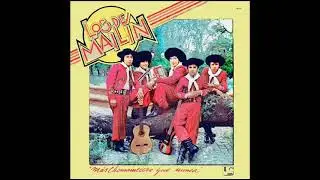 los de mailin - mi violin chamamecero