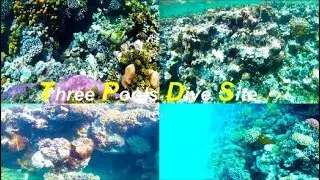 Egipt Three Pools Dive Site Dahab 🐡 🐟