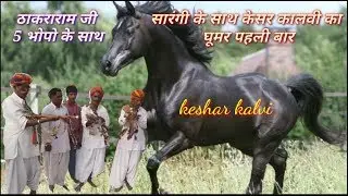 पाबूजी की पड़ || सारंगी पर घूमी केसर कालवी || गायक ठाकराराम भैराराम ने मचाई धूम || pabuji