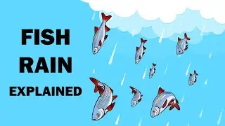 Fish Rain explained in Hindi | Animal Rain explained