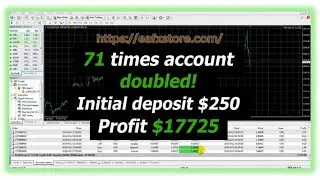 Pips Sure EA MT4 Review | Verified Profit Performance | FX STORE EA