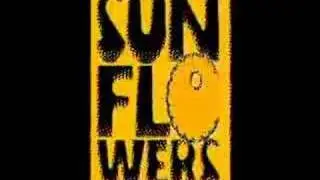 Sunflowers  Bubbles