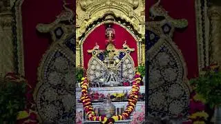 Jai sawariya seth ji ki 🙏🙏🙏🙏#bhakti# sawariya setg# krishnana#shyam#prabhu#trending#viral