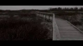 yszatis - 