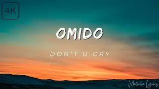 Omido - Don't u cry  [4k Lyrics]