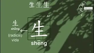 Escribir los caracteres chinos (12): 生