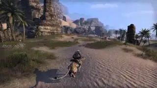 ESO Senche Leopard Mount (2500 crowns)
