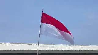 Flag Waving in the Wind &ndash; Free Stock Footage (No Audio)