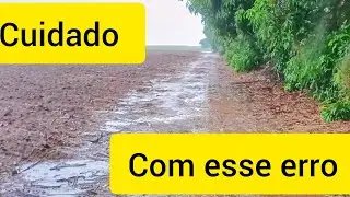 Pimentão Dhara erro que atrapalha o crescimento e o desenvolvimento do Pimentão!