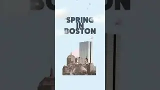 Spring in Boston Animation #aftereffects #motiondesign #boston