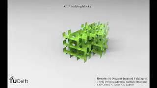 The building blocks of a CLP folded minimal surface, TU Delft, Prof. Amir A. Zadpoor's group