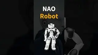 The Rise of Personal Robotics: What You Need to Know | The 5 Personal robots #shorts #general