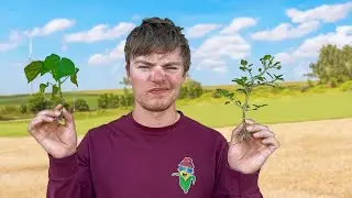 Weeds Are Destroying Our Farm