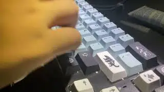 Ltc nimbleback glorious pandas Gmk mizu clones