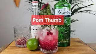 Pom Thumb cocktail recipe #pomthumb #cocktail #recipe #drinks #howto #fyp #easycocktail #gin #drink