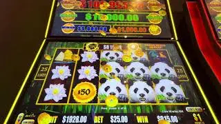 Hard Rock Casino Sacramento High Limit Dragon Link Panda Magic Lantern Bonus