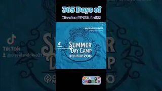 365 Days of Cleveland T-Shirts #35 #tshirt #zoo #animals