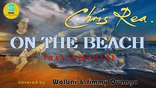 On The Beach - CHRIS REA |  covered by Wolbai & Jimmy Quango  |