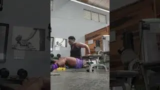 Tricep Dips(Legs Extended) #shorts #armsworkout #trending #youtubeshorts #short #viral #video #reels