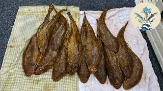 Fishing Sydney | Catching Offshore Flathead