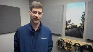 Remote With Rahi: Tips for Being On Camera During Video Conference Calls