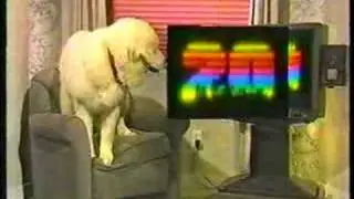 KOFY TV-20 Dog Bumper