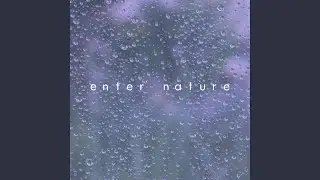 Enter The Forest