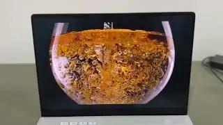 ASUS G14 oled screen test