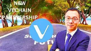 VeChain VET News: VeChain Lands Another Partnership!