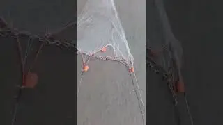 HAND MADE SHRIMP TRAWL & DOORS. SUB FOR MORE CONTENT LIKE THIS.