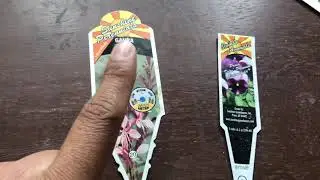 Goth Gardening with Vice: Reading and understanding plant labels l