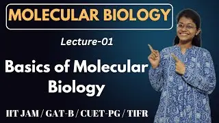 Molecular Biology 01 | Basics Of Mol Biology | IIT JAM Biotechnology