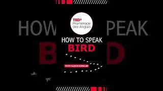 Bird sound mimicker does a TEDx talk. @Tedx
