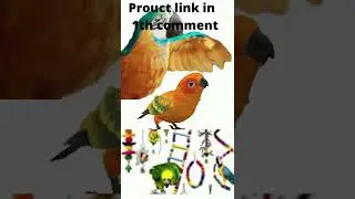 NeoStyle (10 Pcs) Bird Toys Parrot