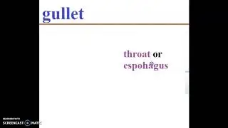 Schwa -et Vocab. (gullet)