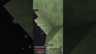 Minecraft Hardcore Near Death Into Void Save ☠️