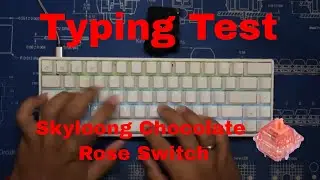 Skyloong Chocolate Rose Switch Typing Test FEATURING PARADOX GAMING GH68X DIY