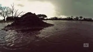 Summer Thunderstorms in Outback WA, Australia  January 2017