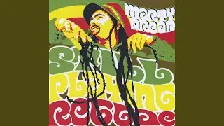 Peaceful Solution (feat. Willie Nelson & Mad Professor)