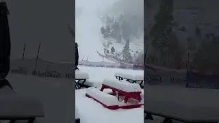 Snowfall in Malam Jabba March 2025