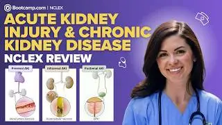 Acute Kidney Injury & Chronic Kidney Disease Explained | Labs, Dialysis & NCLEX