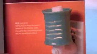 Tallahassee Florida Troy Egan Top 10 Scentsy Candle Bar Forum Safe Review Warmer Official Product