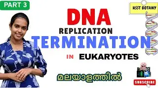 Eukaryotic DNA replication&nbsp;-&nbsp;Termination&nbsp;Explained in Malayalam |HSST Botany|#plantsapiens