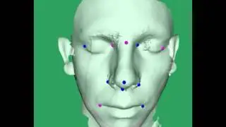 Automated 3D Facial Landmarking (automated landmarking detail)