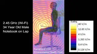 Wi-Fi Radiation from iPads, Laptops and CellPhone Radiation Penetrates the Brain.